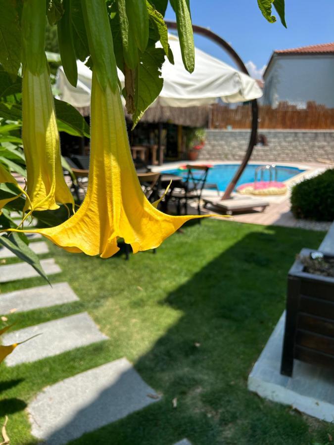 Çeşme Pupa Alacati Butik Otel מראה חיצוני תמונה