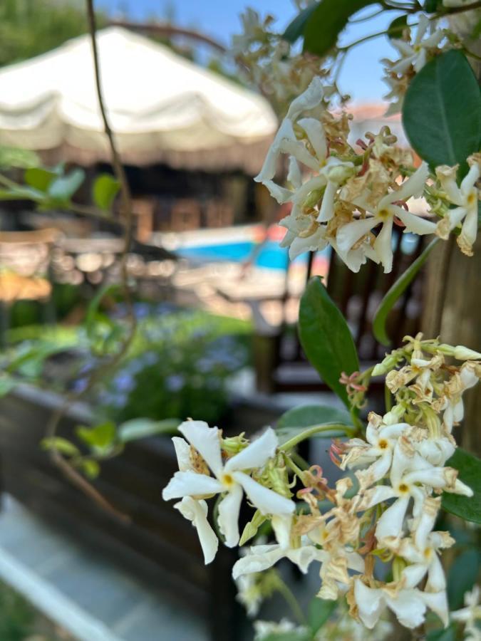 Çeşme Pupa Alacati Butik Otel מראה חיצוני תמונה