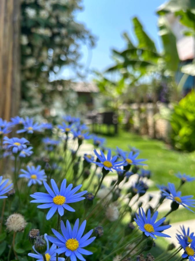 Çeşme Pupa Alacati Butik Otel מראה חיצוני תמונה